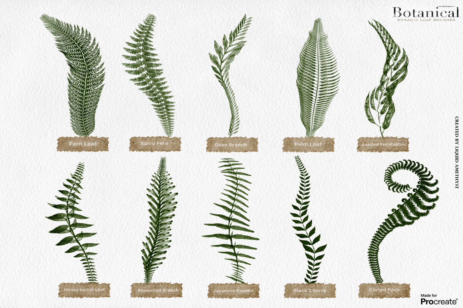 Botanical Greenery Box for Procreate Botanical Greenery Box for Procreate