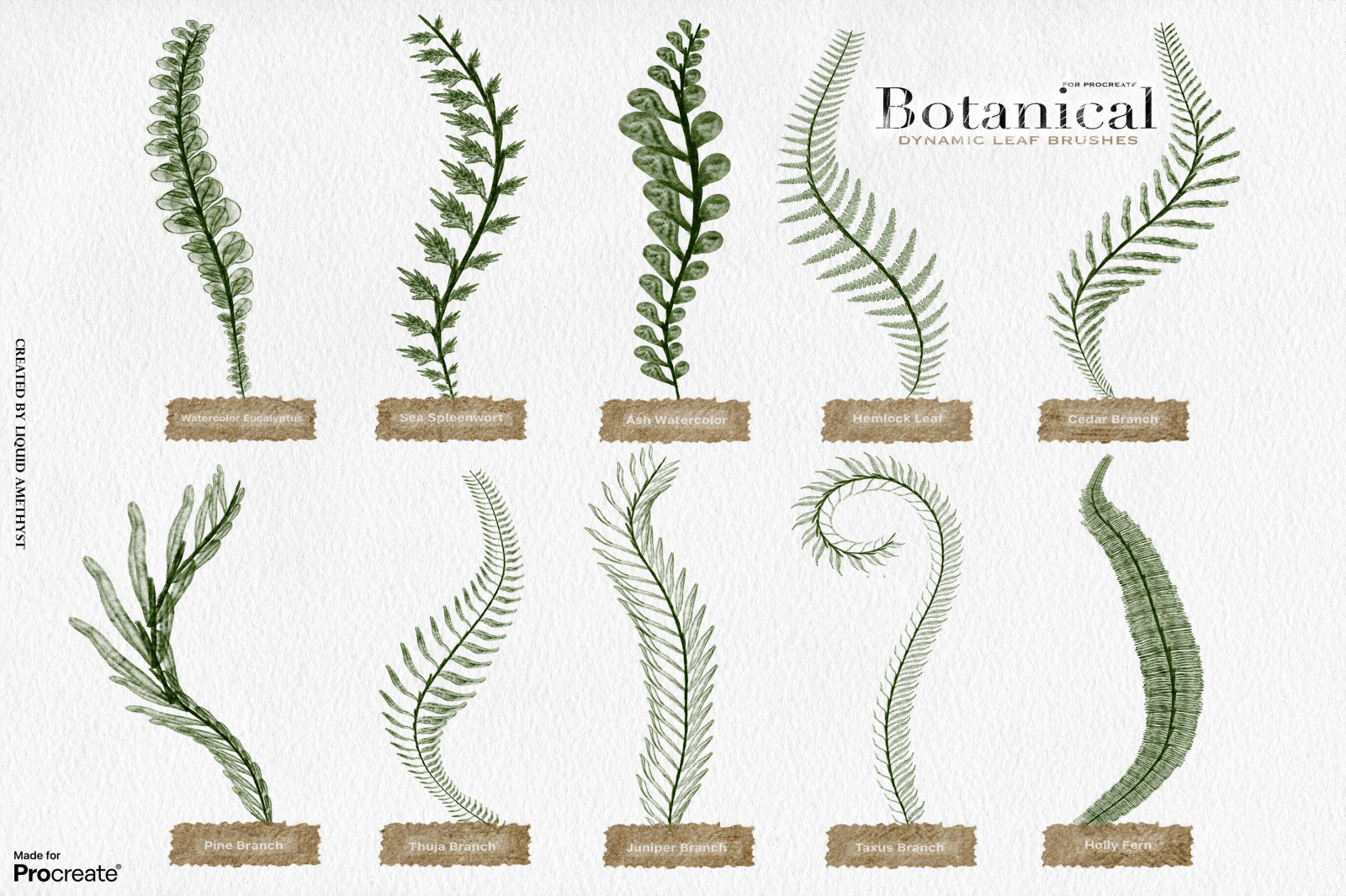 Botanical Greenery Box for Procreate Botanical Greenery Box for Procreate