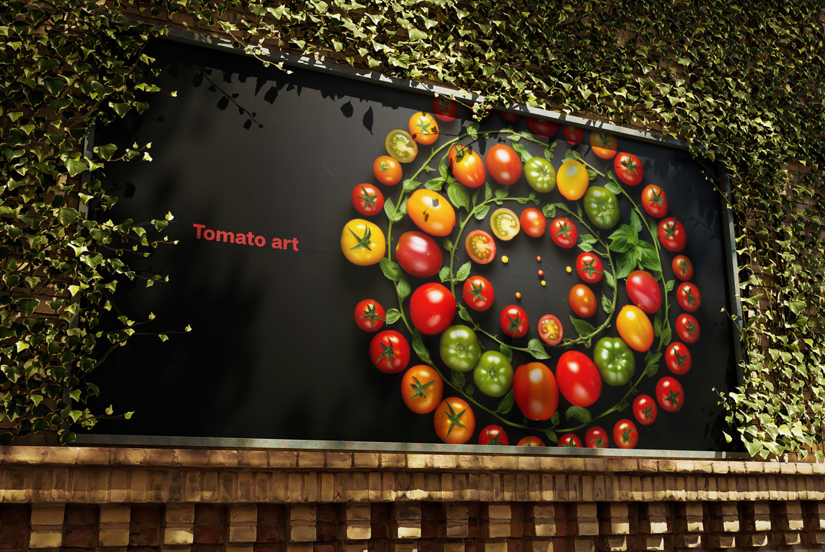 Tomato Art Tomato Art