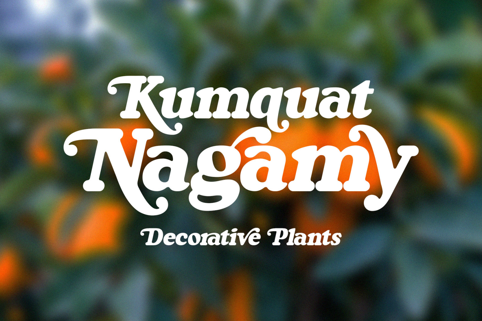 Kingo - Bold Display Font Kingo - Bold Display Font