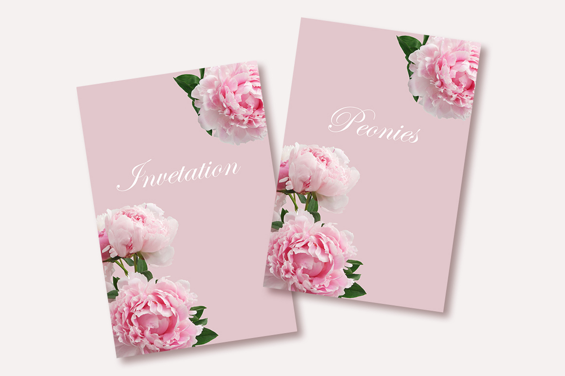 Beautiful Peonies 36 PNG Photos Beautiful Peonies 36 PNG Photos