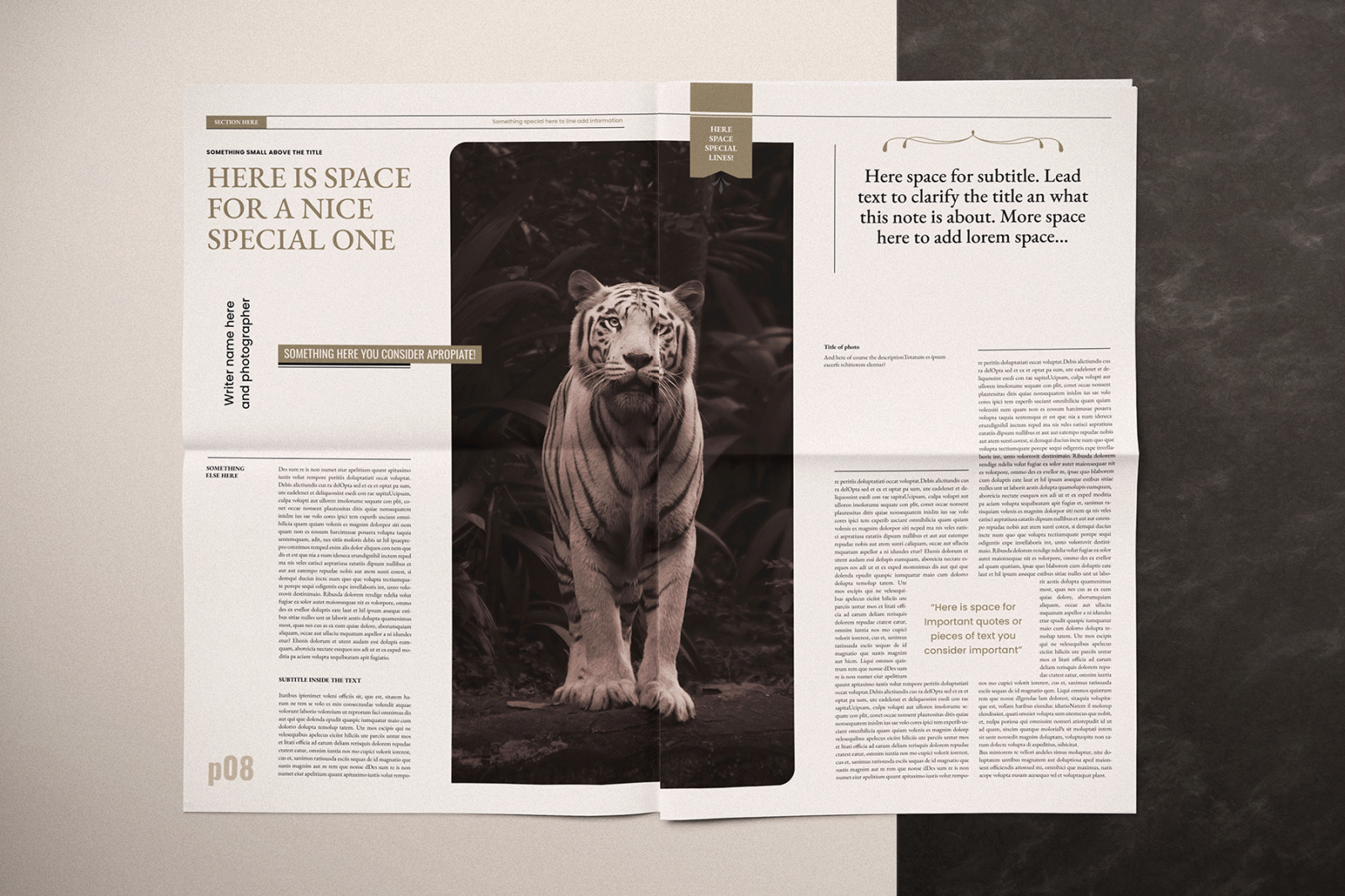 The NeoSpaper Indesign Template