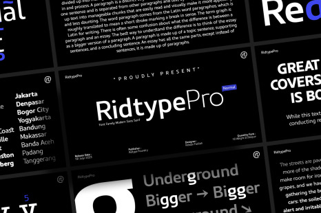 Ridtype Pro Font Family - Variable