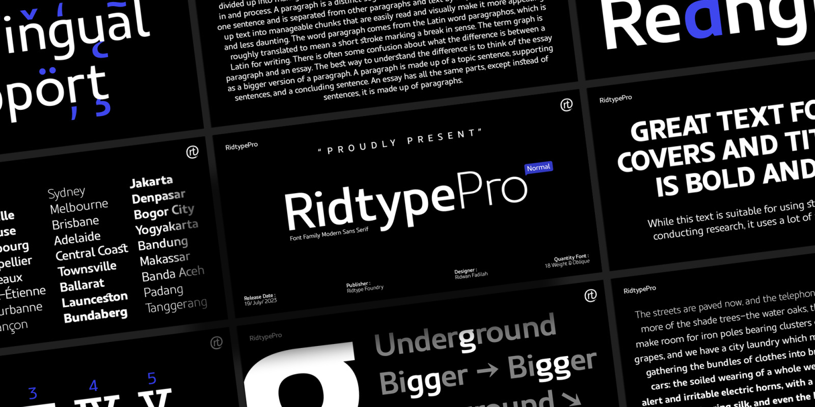 Ridtype Pro Font Family