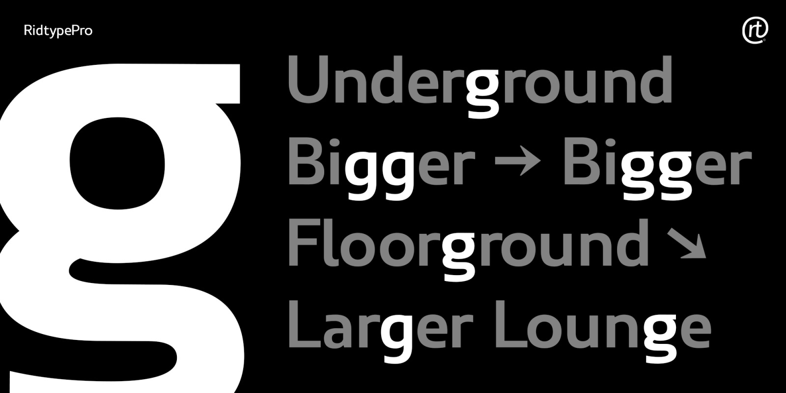 Ridtype Pro Font Family Ridtype Pro Font Family