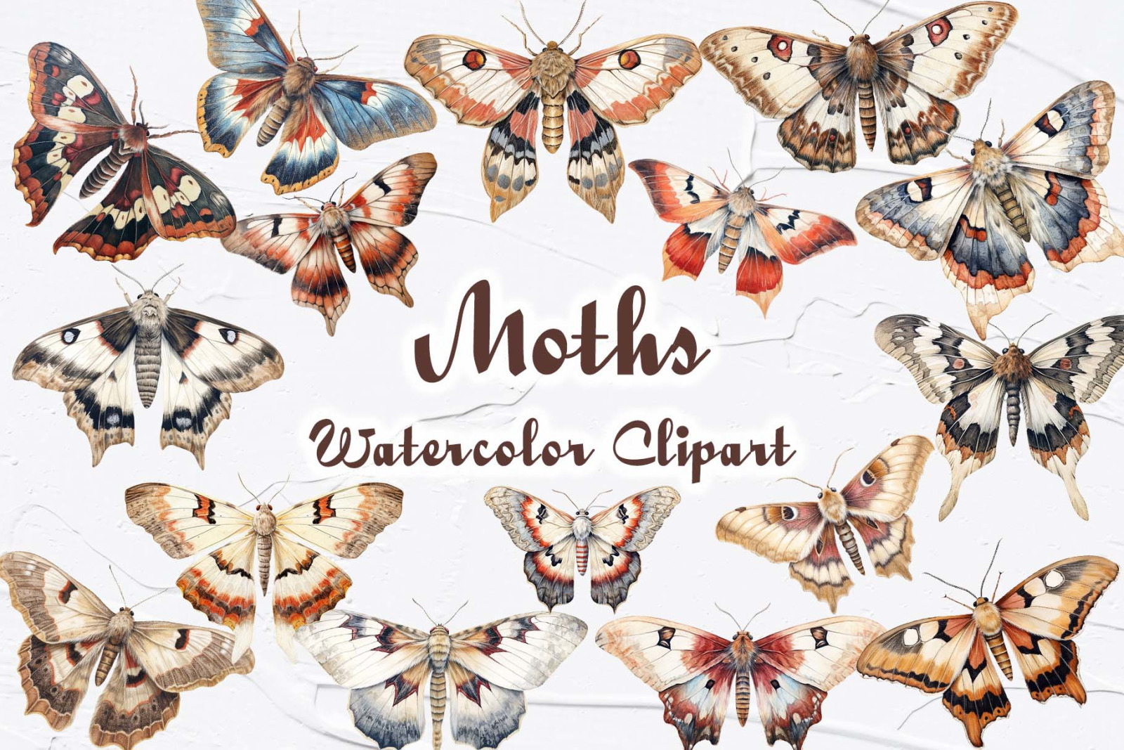 Moths Watercolor Clipart Moths Watercolor Clipart