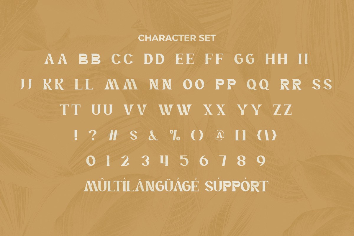 Power Passion Font Power Passion Font