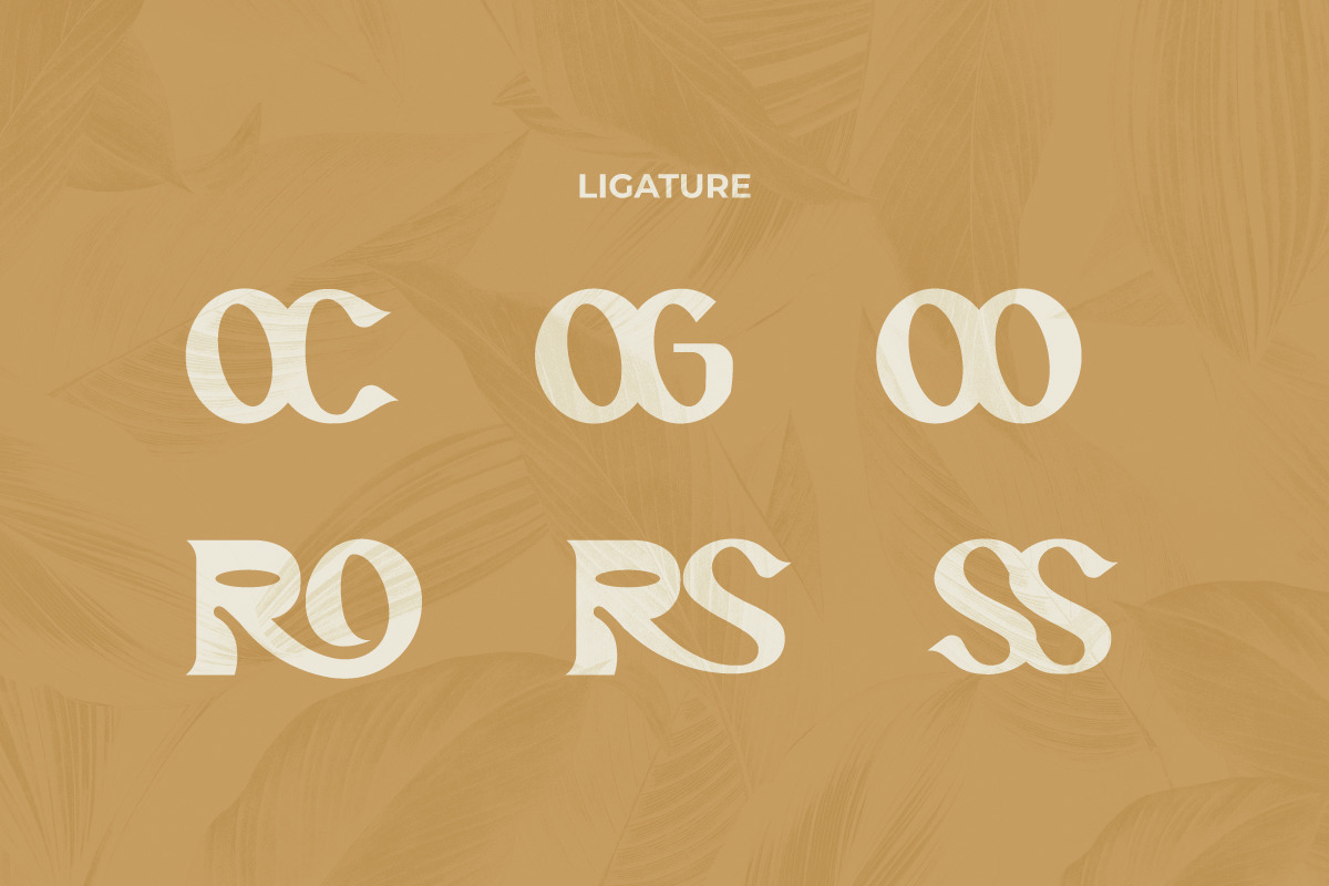 Power Passion Font Power Passion Font