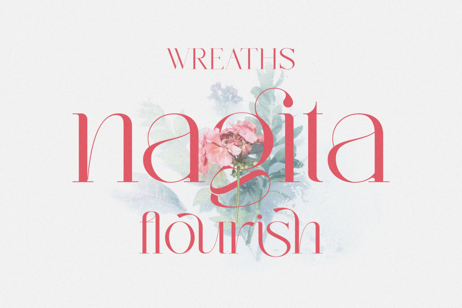 Quinsi Modern Typeface Quinsi Modern Typeface