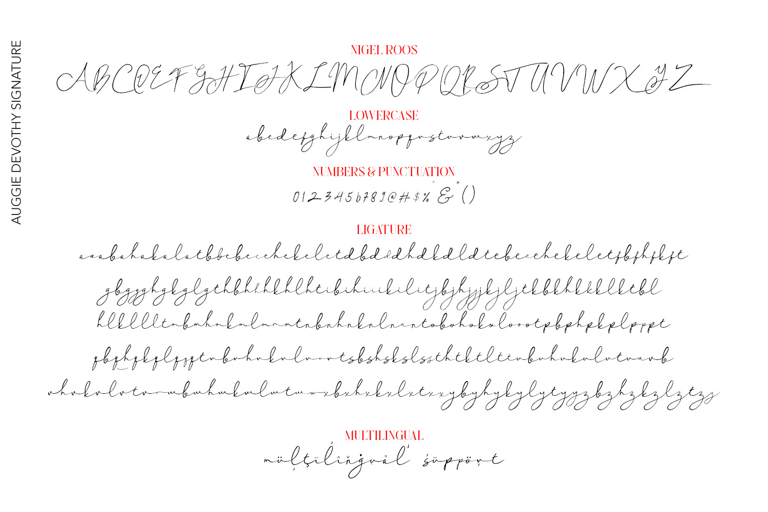 Auggie Devothy Signature Auggie Devothy Signature