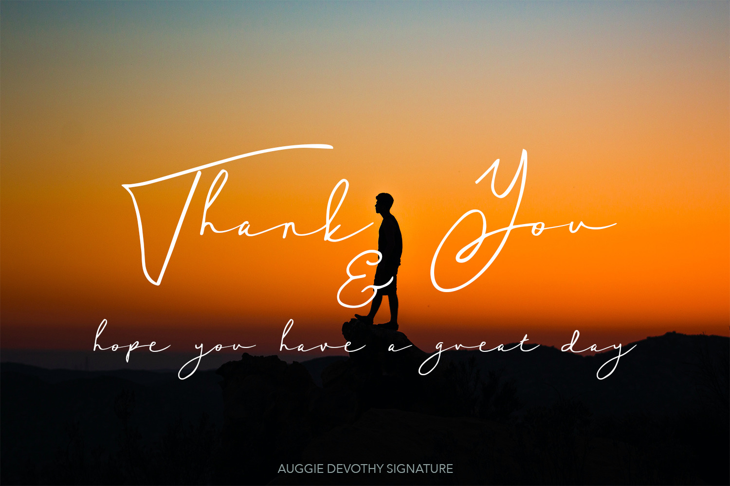 Auggie Devothy Signature