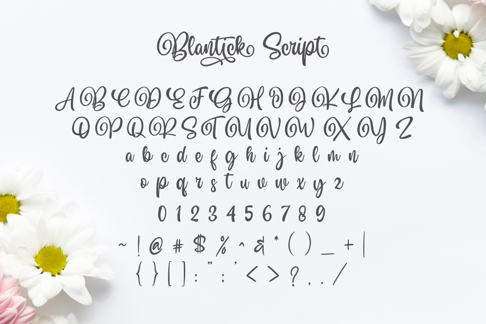 Blantick Script Handwriting Blantick Script Handwriting
