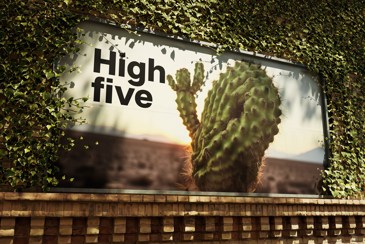 Cactus Human-like Cactus Human-like