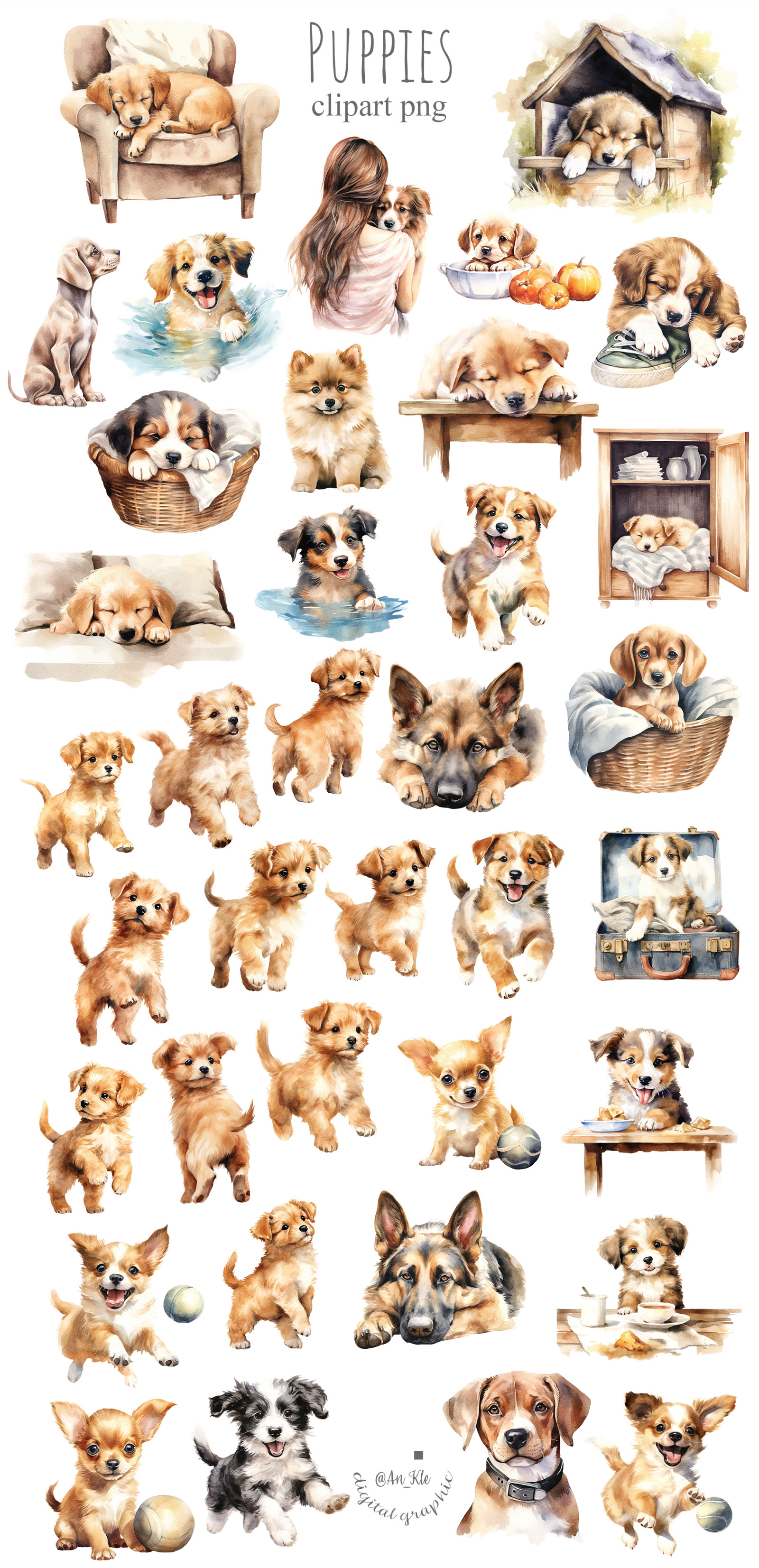 Puppy Story Clipart Bundle