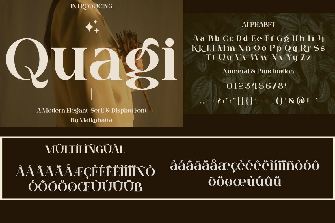 Bundle Modern Beauty Font