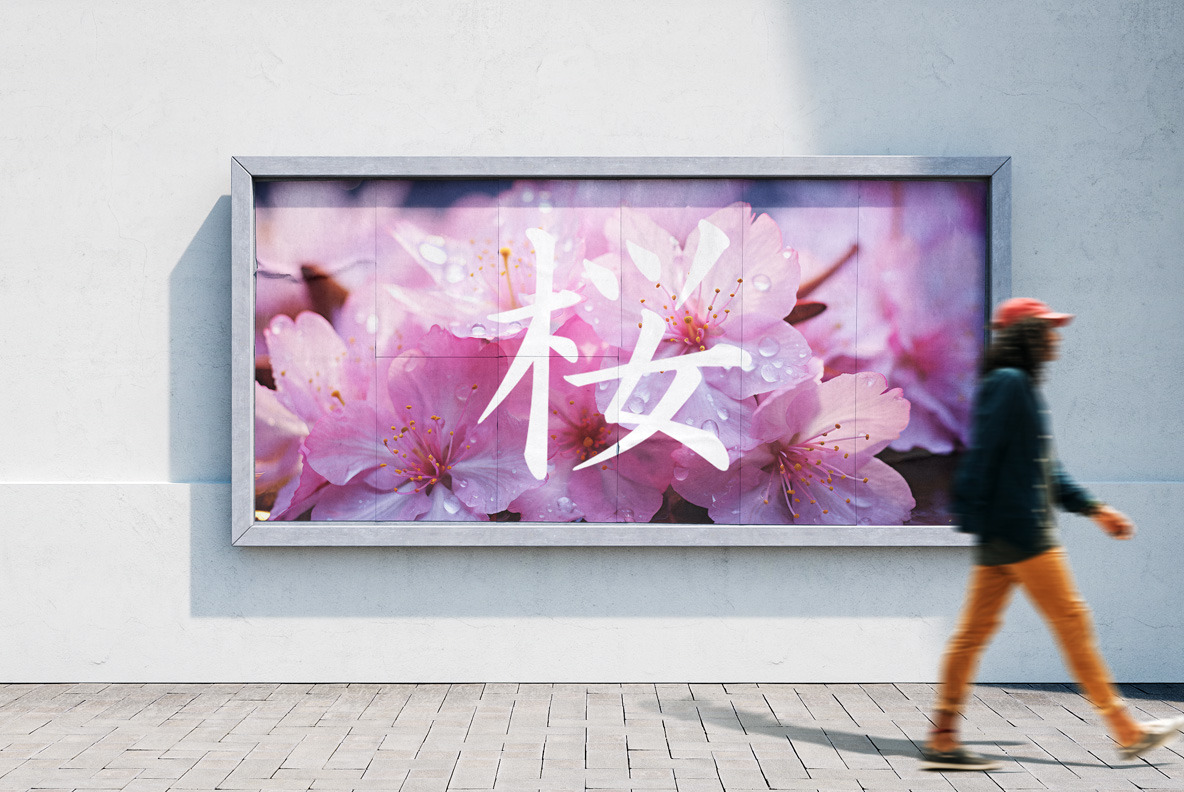 Sakura Sakura