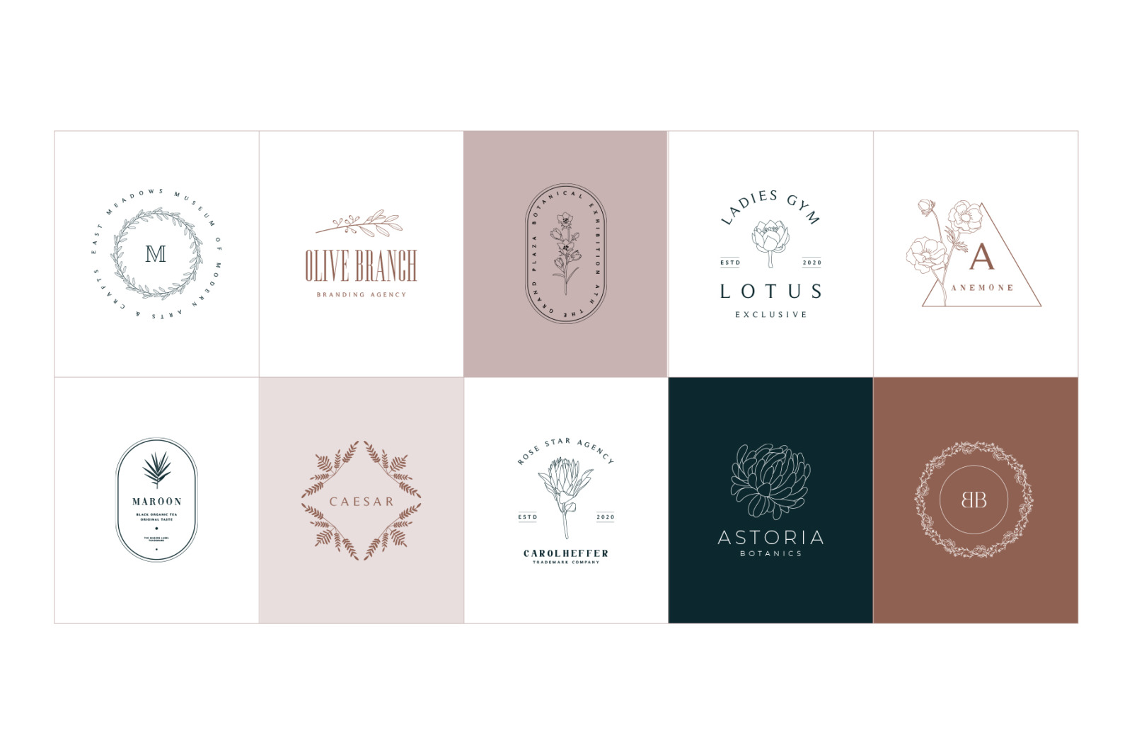 50 Botanical Floral Logos