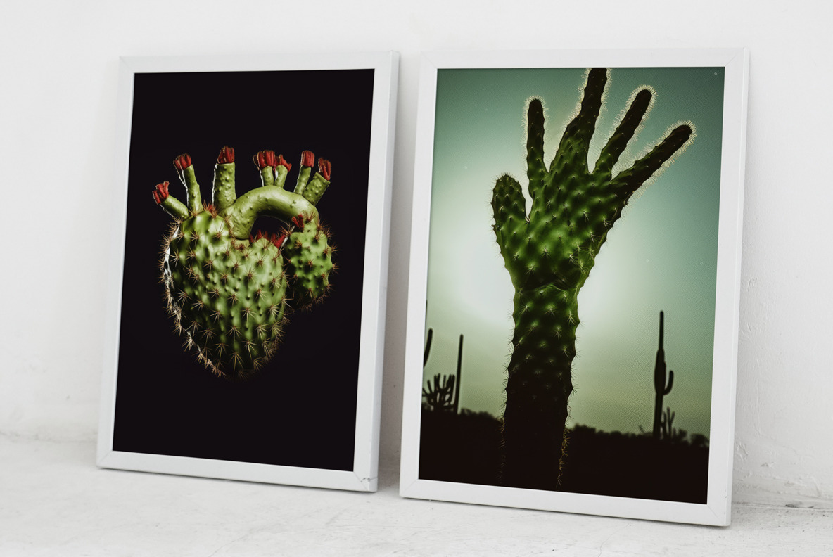 Cactus