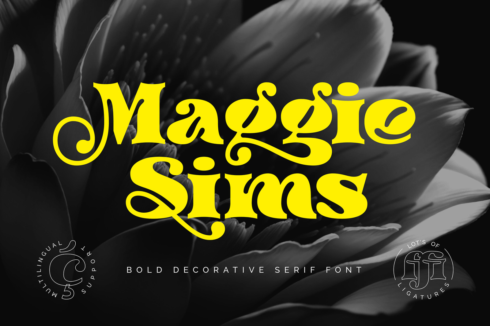 Maggie Sims - Bold Decorative Serif Font Maggie Sims - Bold Decorative Serif Font