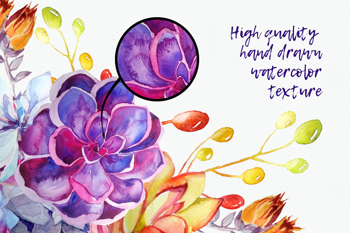 Watercolor Succulents Clipart + PSD Watercolor Succulents Clipart + PSD