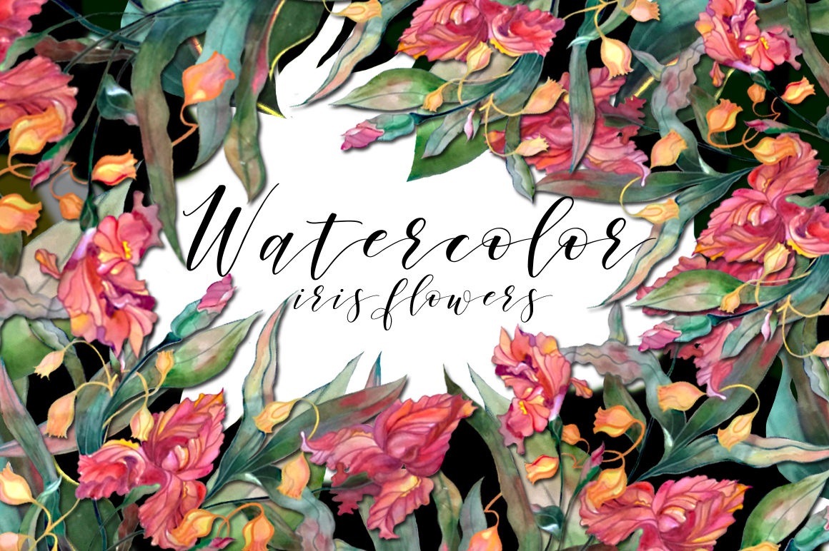 Watercolor iris flowers set. Watercolor iris flowers set.