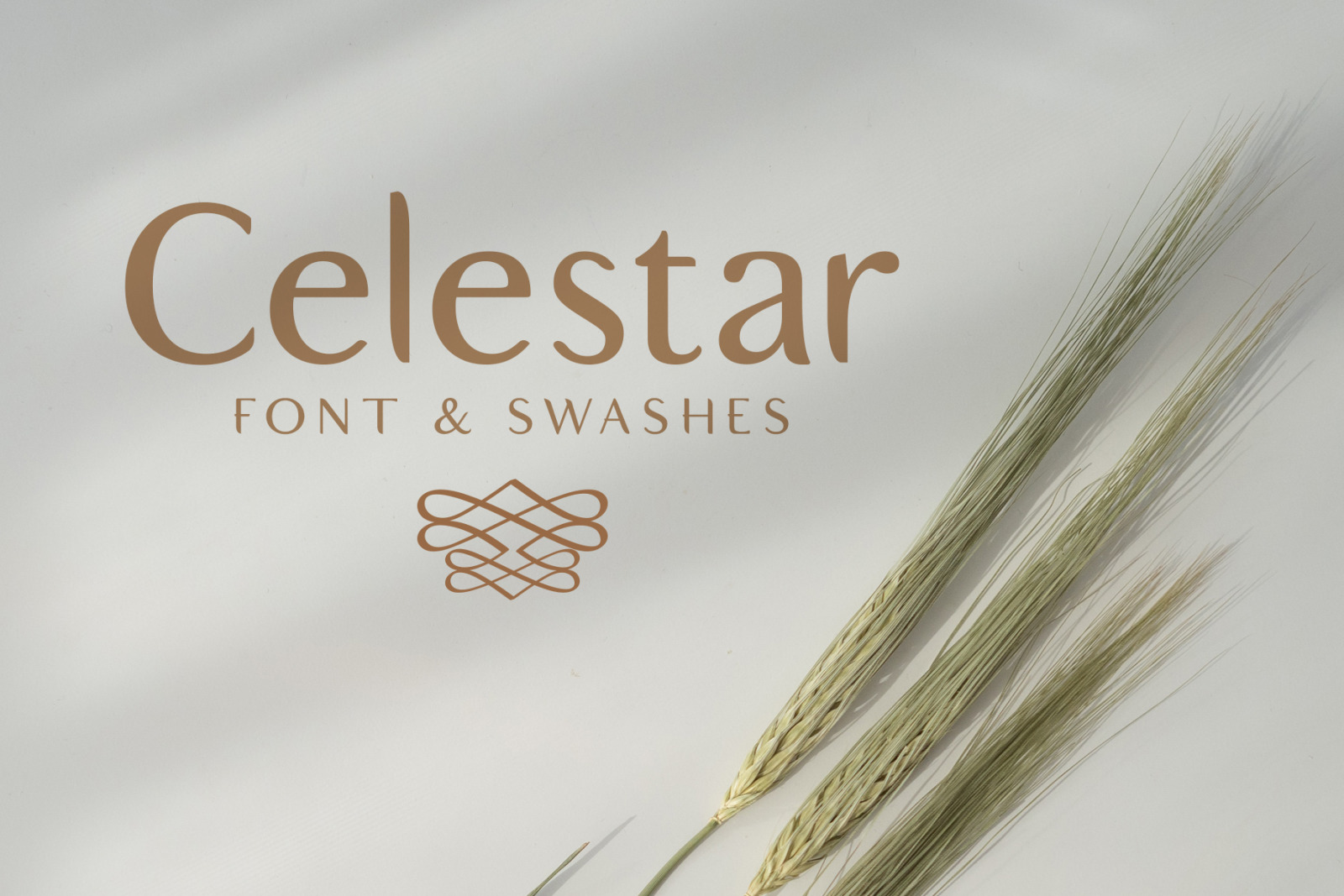 Celestar Font Celestar Font