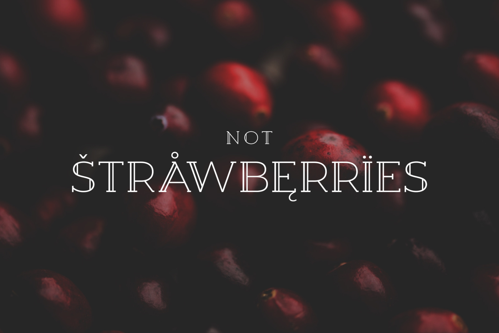 Berry Slab Serif Font