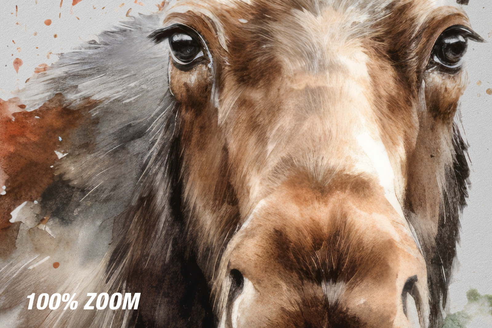 100 Watercolor Animal Portraits 100 Watercolor Animal Portraits