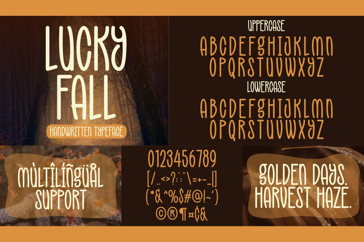 Autumn Modern Font Bundle