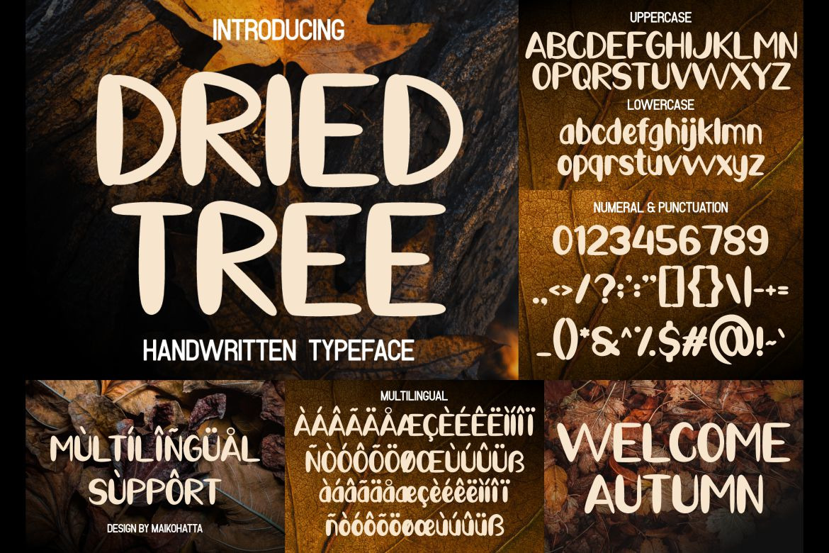 Autumn Modern Font Bundle