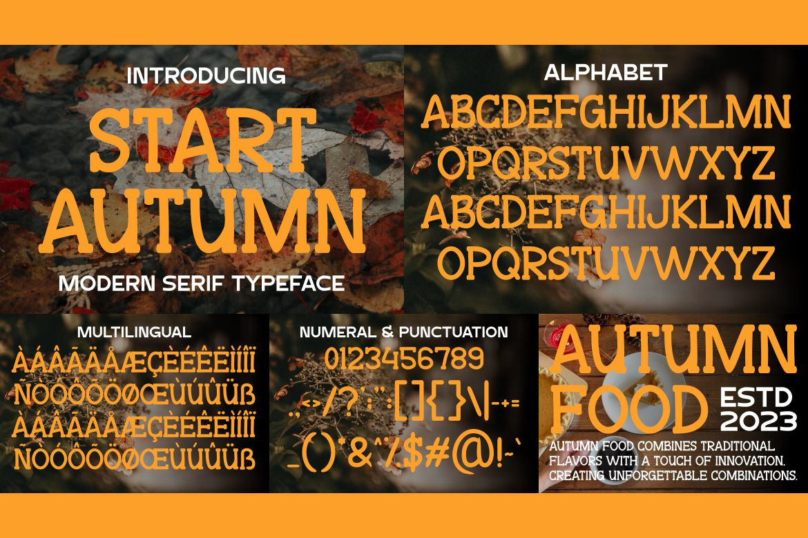 Autumn Modern Font Bundle Autumn Modern Font Bundle