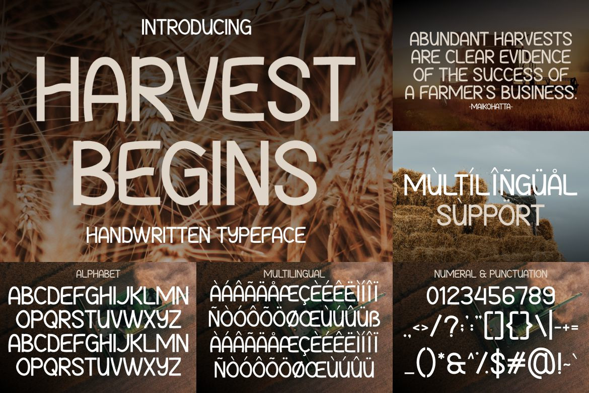 Autumn Modern Font Bundle Autumn Modern Font Bundle