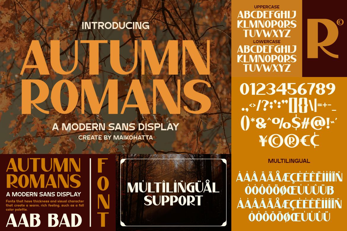 Autumn Modern Font Bundle Autumn Modern Font Bundle
