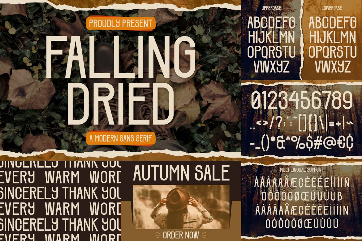 Autumn Modern Font Bundle Autumn Modern Font Bundle