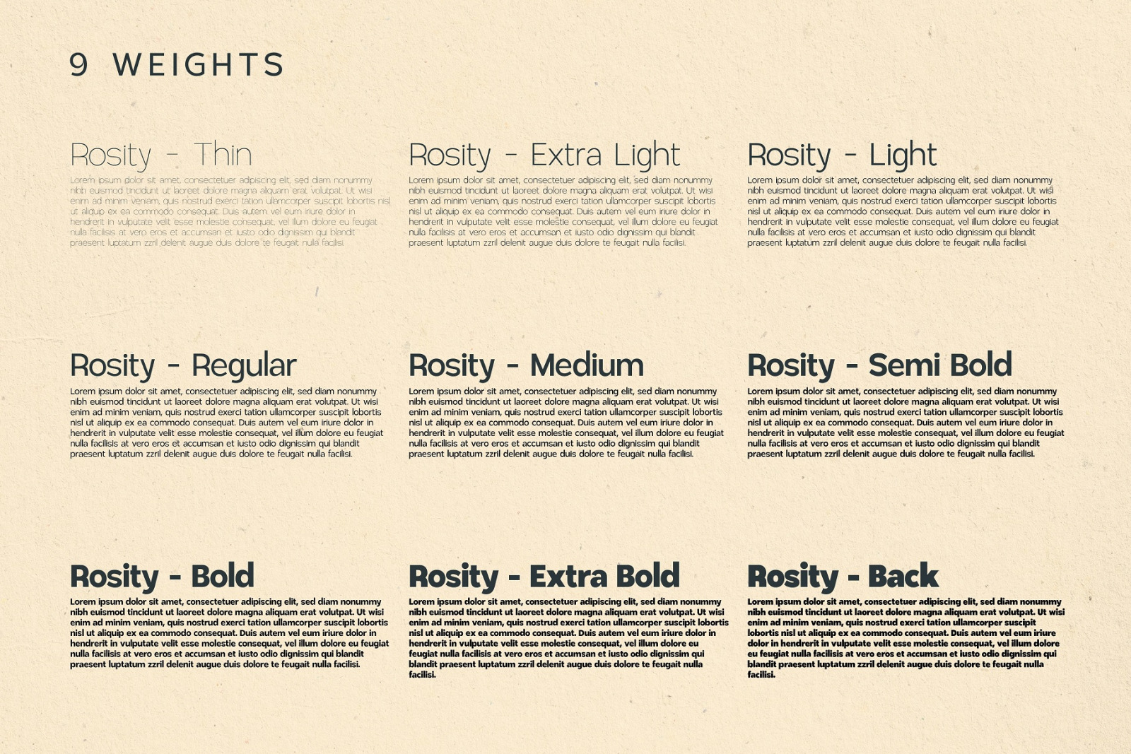 Rosity - Beautiful Modern Typeface