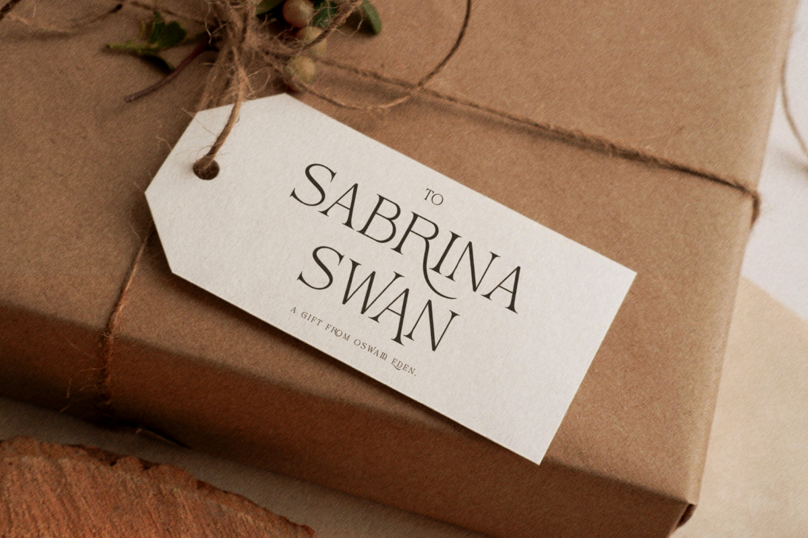 Chevane Dream - Serif Font Chevane Dream - Serif Font