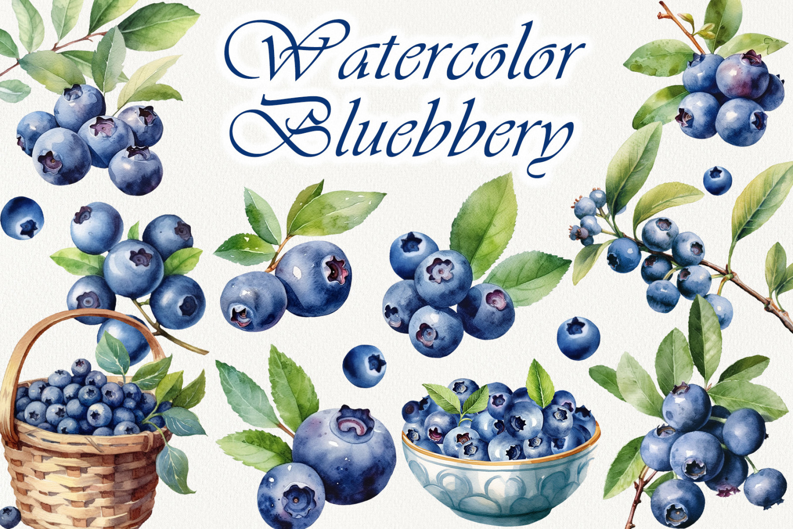 Blueberry Watercolor Collection