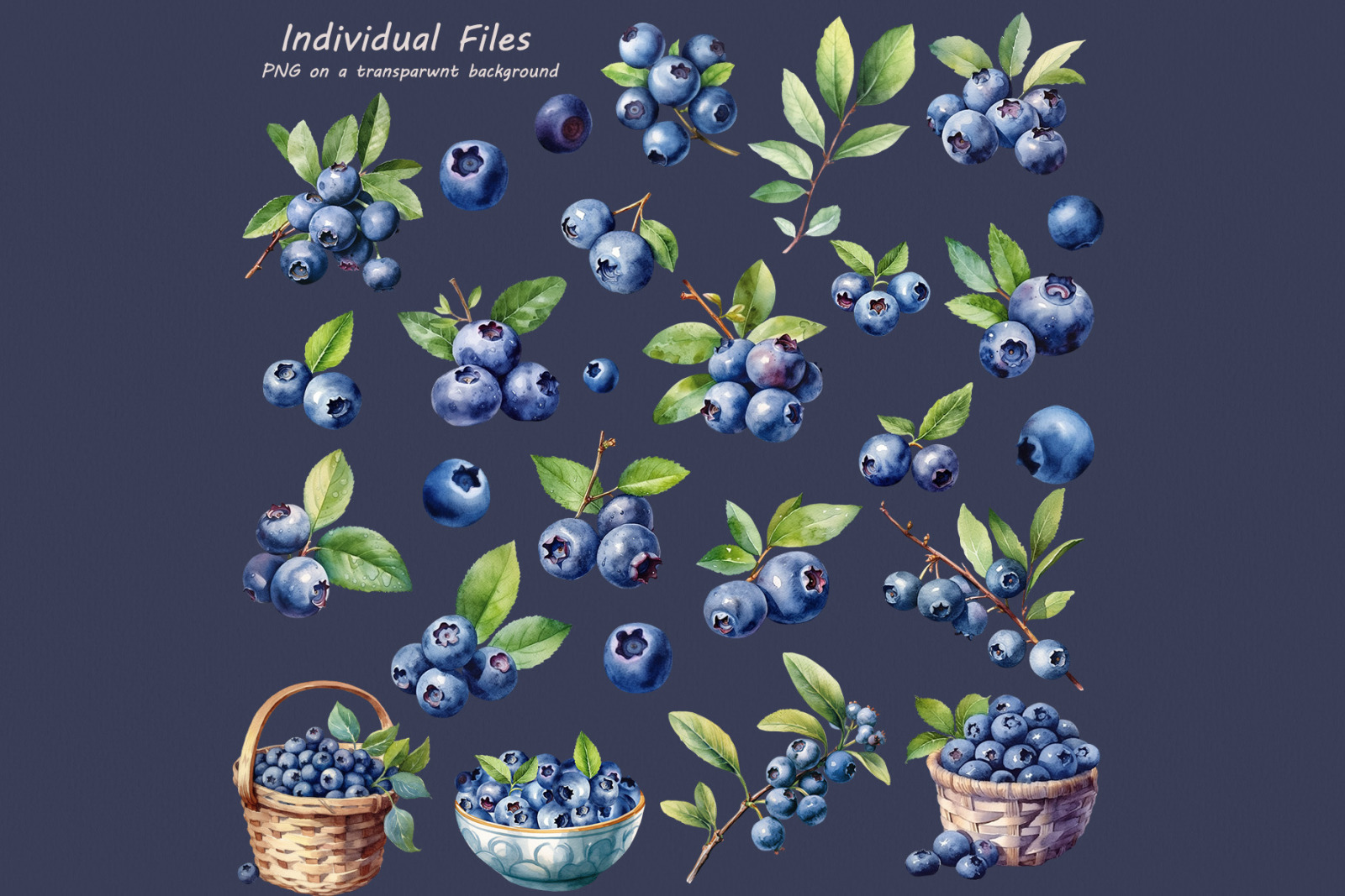 Blueberry Watercolor Collection