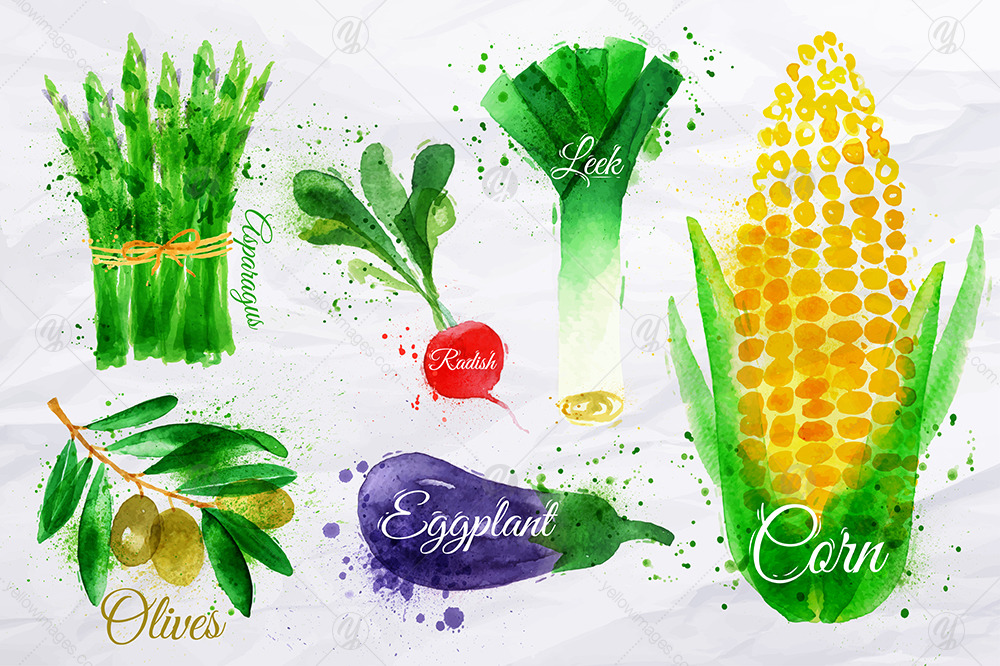 Vegetables Watercolor Vegetables Watercolor