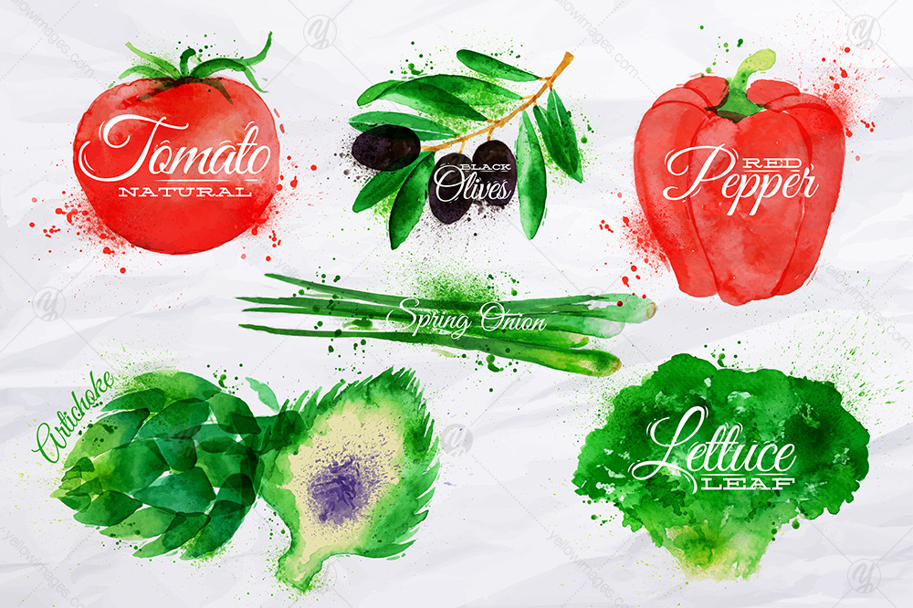 Vegetables Watercolor Vegetables Watercolor