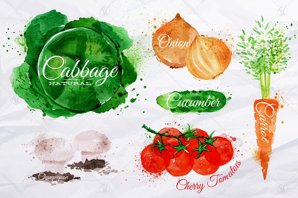 Vegetables Watercolor Vegetables Watercolor