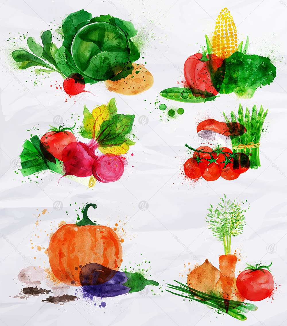 Vegetables Watercolor Vegetables Watercolor