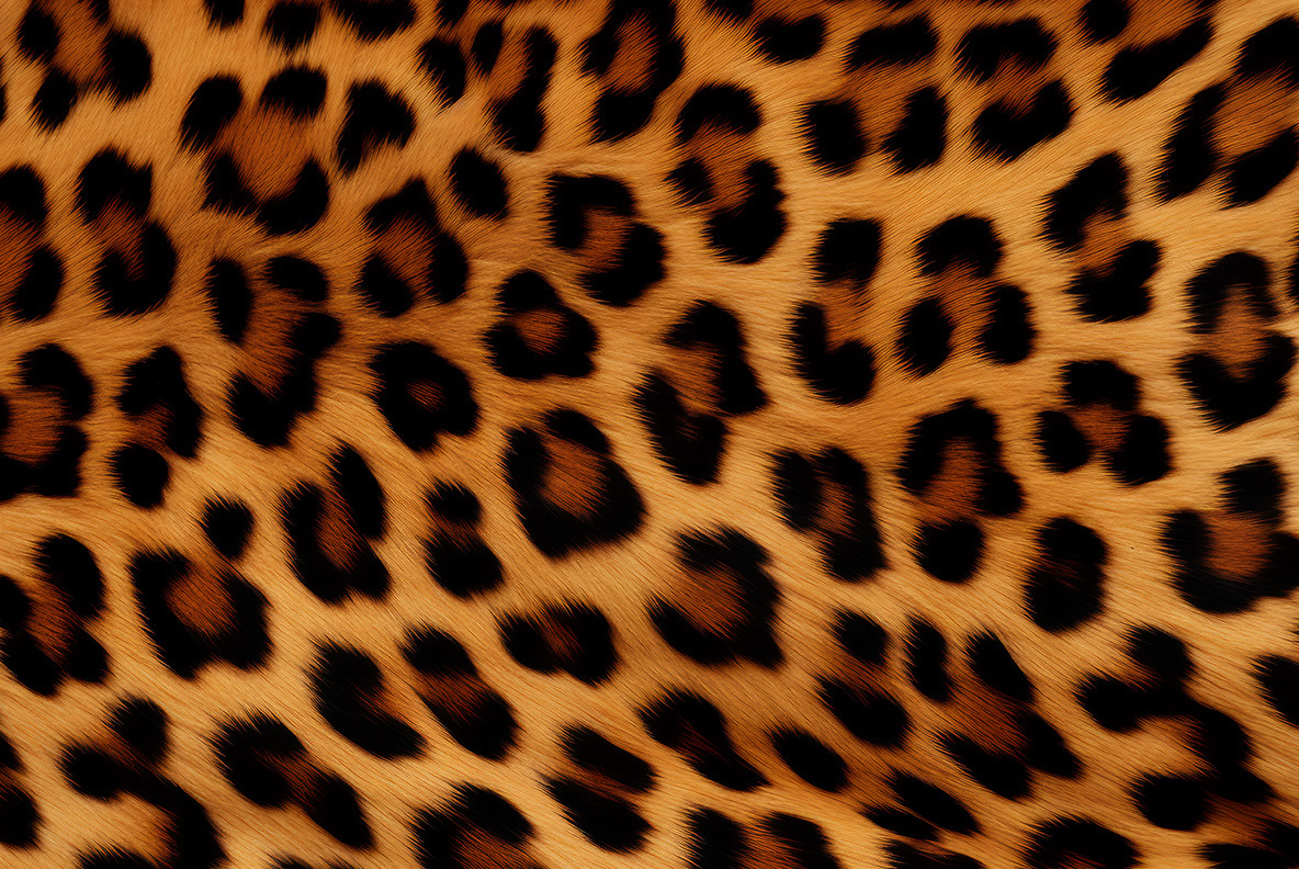 Animal Fur Animal Fur