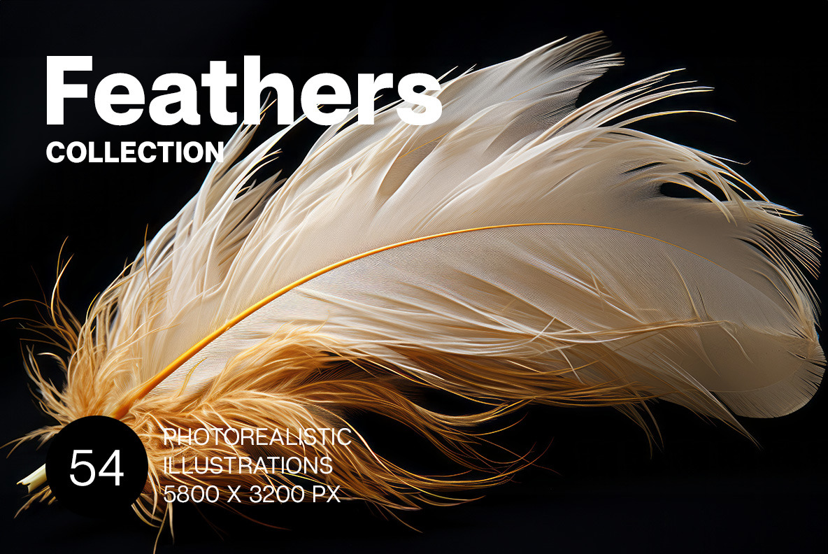 Feathers Feathers