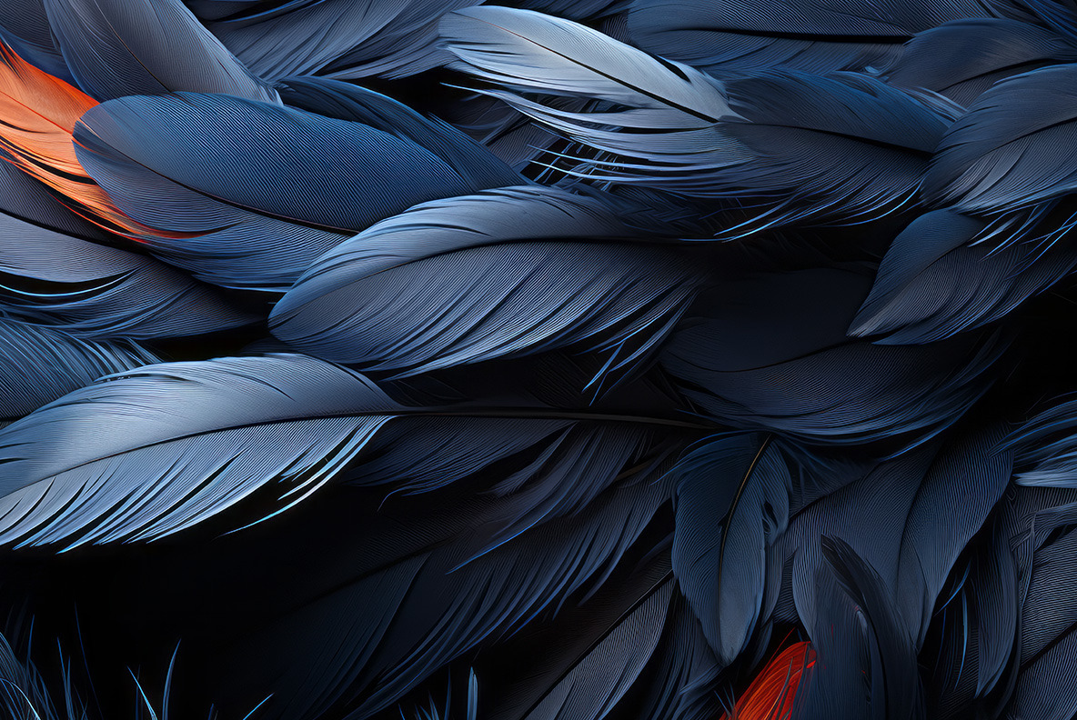 Feathers Feathers