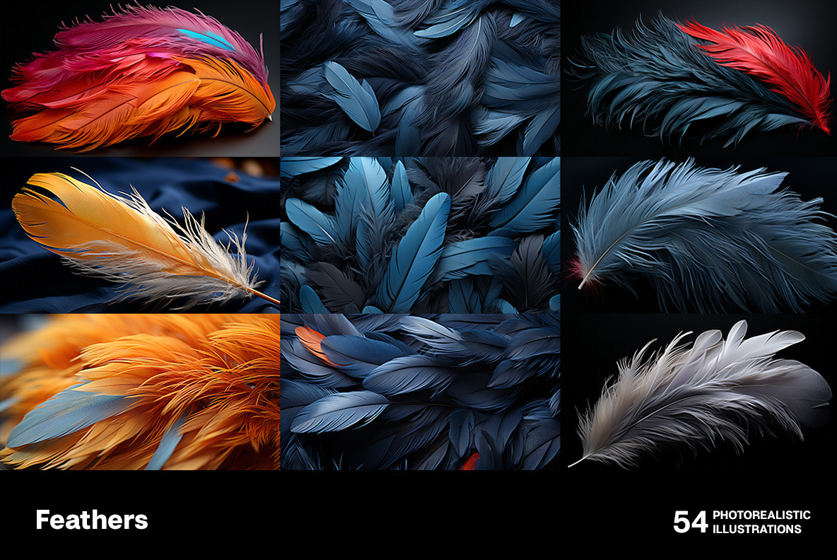 Feathers Feathers