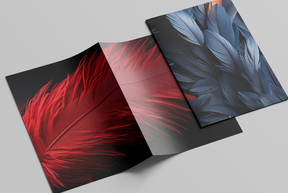 Feathers Feathers