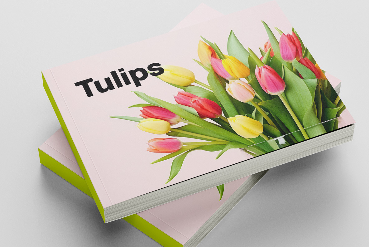 Bouquet of tulips