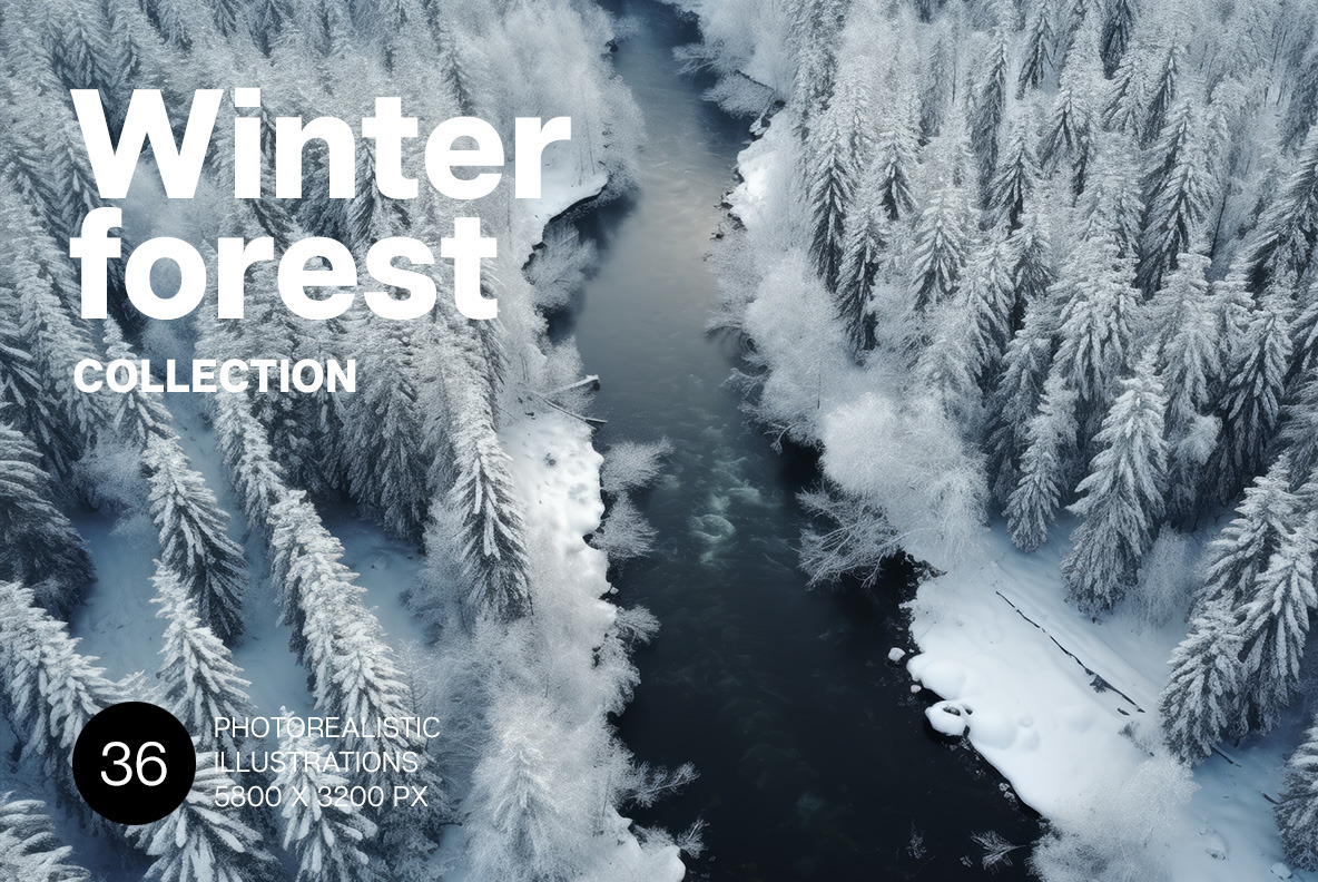 Winter forest. Winter forest.