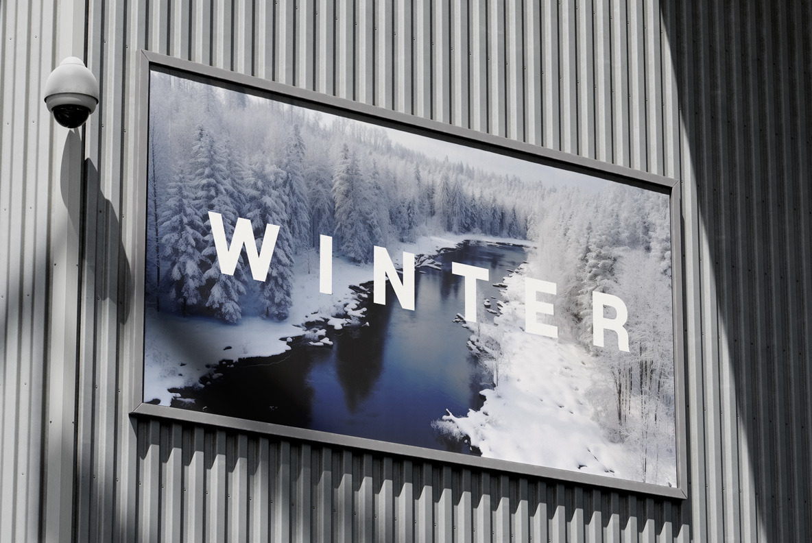 Winter forest. Winter forest.